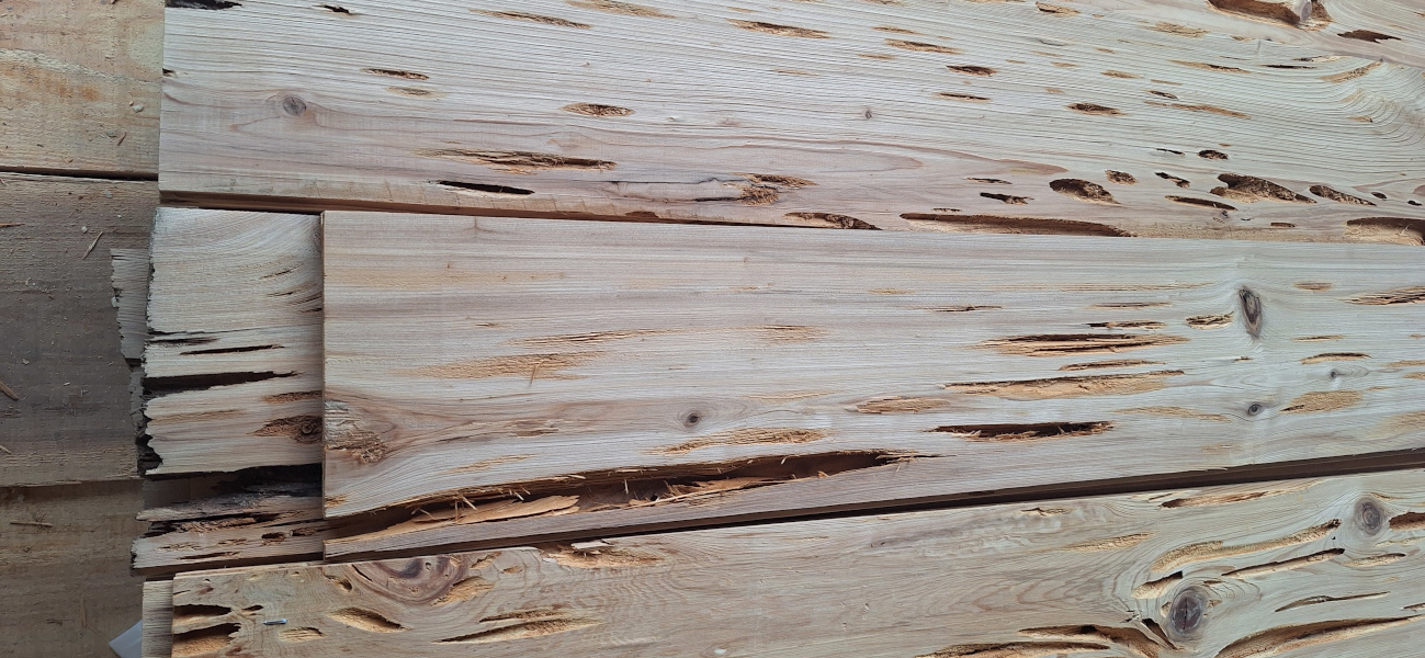 Close-up of pecky cypress stock