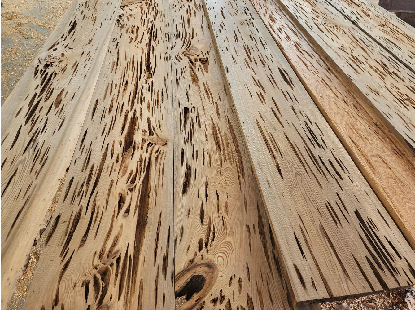 Freshly milled pecky cypress lumber